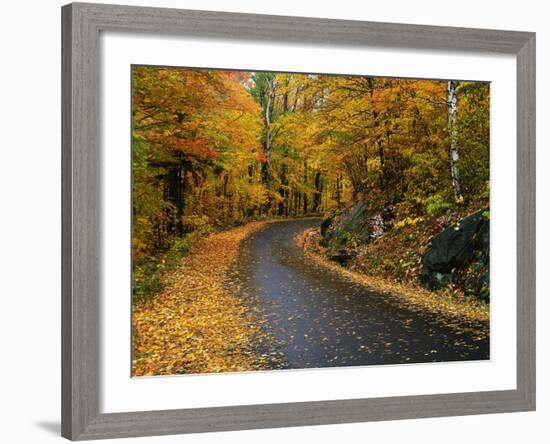 New England Road in Autumn-Darrell Gulin-Framed Photographic Print