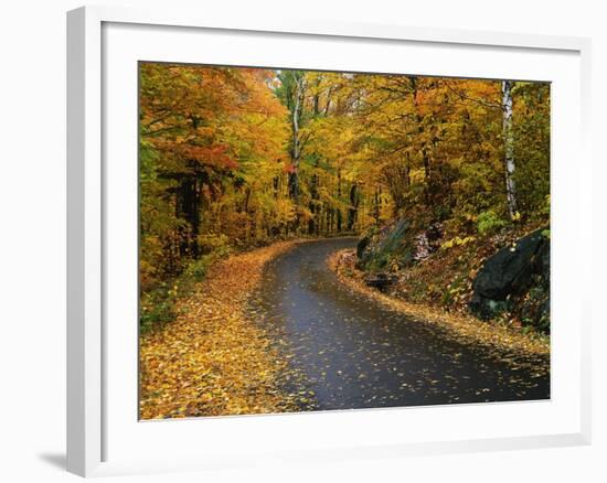 New England Road in Autumn-Darrell Gulin-Framed Photographic Print