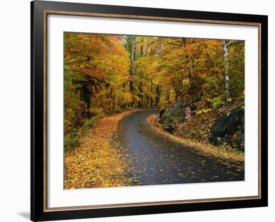 New England Road in Autumn-Darrell Gulin-Framed Photographic Print