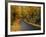 New England Road in Autumn-Darrell Gulin-Framed Photographic Print