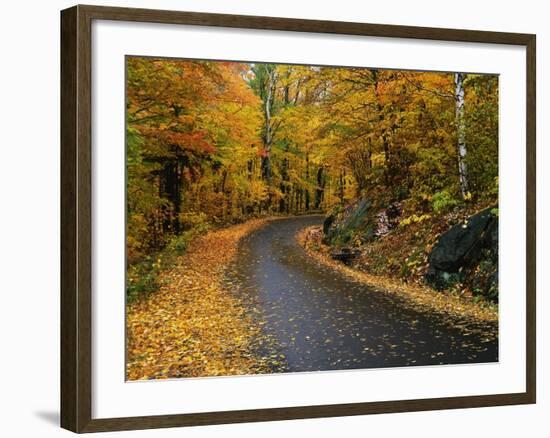 New England Road in Autumn-Darrell Gulin-Framed Photographic Print