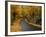 New England Road in Autumn-Darrell Gulin-Framed Photographic Print