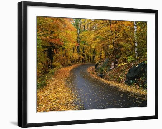 New England Road in Autumn-Darrell Gulin-Framed Photographic Print