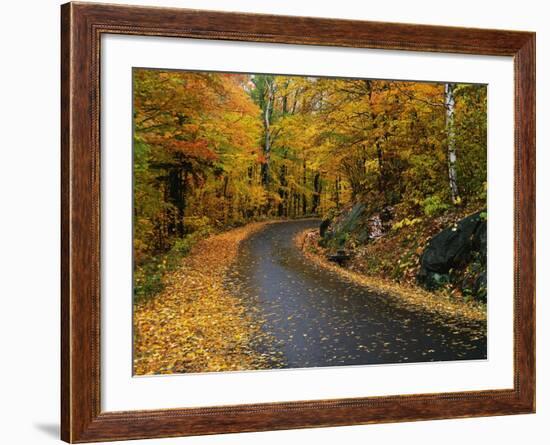 New England Road in Autumn-Darrell Gulin-Framed Photographic Print