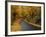 New England Road in Autumn-Darrell Gulin-Framed Photographic Print