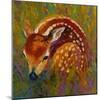 New Fawn-Marion Rose-Mounted Giclee Print