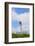 New Flamborough Lighthouse, Flamborough Head, Yorkshire, England, United Kingdom, Europe-Jane Sweeney-Framed Photographic Print