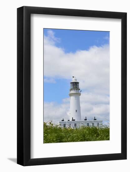 New Flamborough Lighthouse, Flamborough Head, Yorkshire, England, United Kingdom, Europe-Jane Sweeney-Framed Photographic Print