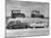 New Ford Cars Arranged to Make Advertising Pictures-William Sumits-Mounted Photographic Print