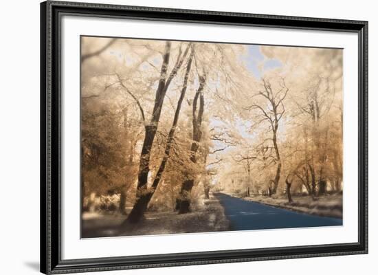 New Forest-Linda Wood-Framed Giclee Print