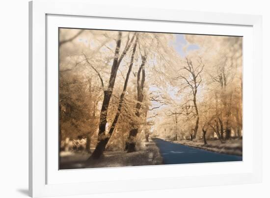 New Forest-Linda Wood-Framed Giclee Print