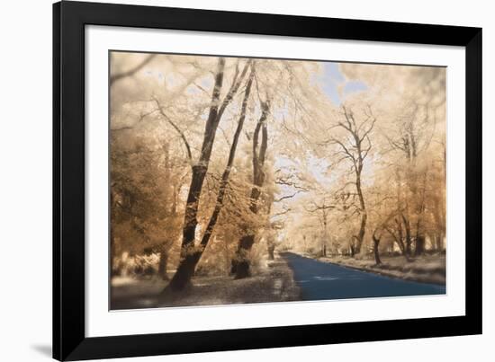 New Forest-Linda Wood-Framed Giclee Print