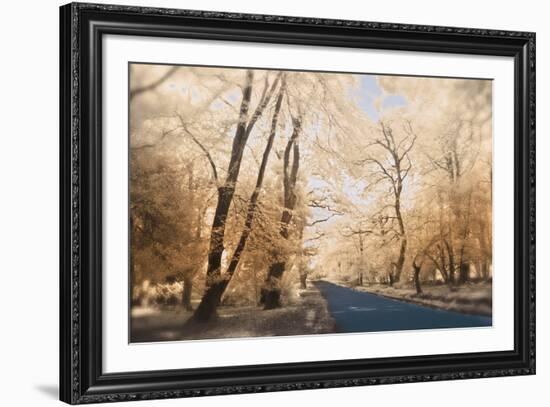 New Forest-Linda Wood-Framed Giclee Print