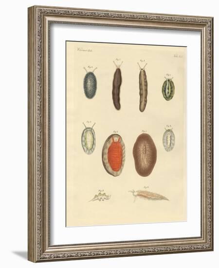 New-Foundes Worms-null-Framed Giclee Print