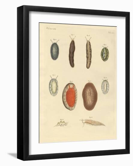 New-Foundes Worms-null-Framed Giclee Print