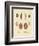 New-Foundes Worms-null-Framed Giclee Print