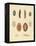 New-Foundes Worms-null-Framed Premier Image Canvas