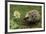 New Friend-Staffan Widstrand-Framed Giclee Print