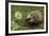 New Friend-Staffan Widstrand-Framed Giclee Print