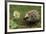 New Friend-Staffan Widstrand-Framed Giclee Print