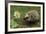 New Friend-Staffan Widstrand-Framed Giclee Print