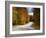 New Hamphire, White Mountains National Forest, Bear Notch Road, USA-Alan Copson-Framed Photographic Print