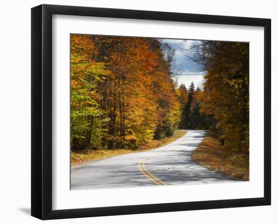 New Hamphire, White Mountains National Forest, Bear Notch Road, USA-Alan Copson-Framed Photographic Print