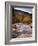 New Hamphire, White Mountains National Forest, USA-Alan Copson-Framed Photographic Print