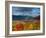 New Hamphire, White Mountains National Forest, USA-Alan Copson-Framed Photographic Print