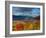 New Hamphire, White Mountains National Forest, USA-Alan Copson-Framed Photographic Print