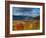 New Hamphire, White Mountains National Forest, USA-Alan Copson-Framed Photographic Print