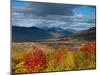 New Hamphire, White Mountains National Forest, USA-Alan Copson-Mounted Photographic Print