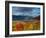 New Hamphire, White Mountains National Forest, USA-Alan Copson-Framed Photographic Print