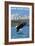 New Hampshire - Eagle Fishing-Lantern Press-Framed Art Print