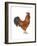 New Hampshire (Gallus Gallus Domesticus), Rooster, Poultry, Birds-Encyclopaedia Britannica-Framed Art Print