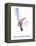 New Hampshire, Stylized Snowboarder-Lantern Press-Framed Stretched Canvas