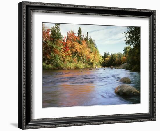 New Hampshire, White Mountains NF, Autumn Colors of Sugar Maple Trees-Christopher Talbot Frank-Framed Photographic Print