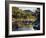 New Hampshire, White Mountains NF, Autumn Colors of Sugar Maple Trees-Christopher Talbot Frank-Framed Photographic Print