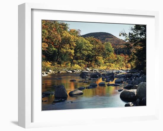 New Hampshire, White Mountains NF, Autumn Colors of Sugar Maple Trees-Christopher Talbot Frank-Framed Photographic Print