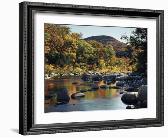 New Hampshire, White Mountains NF, Autumn Colors of Sugar Maple Trees-Christopher Talbot Frank-Framed Photographic Print