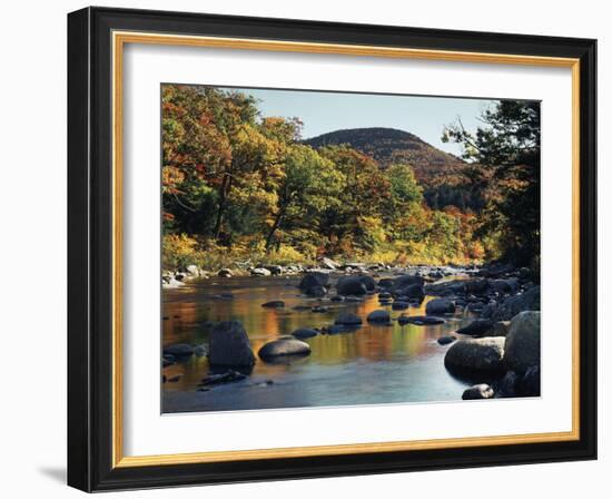 New Hampshire, White Mountains NF, Autumn Colors of Sugar Maple Trees-Christopher Talbot Frank-Framed Photographic Print