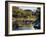 New Hampshire, White Mountains NF, Autumn Colors of Sugar Maple Trees-Christopher Talbot Frank-Framed Photographic Print