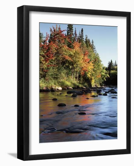 New Hampshire, White Mountains NF, Autumn Colors of Sugar Maple Trees-Christopher Talbot Frank-Framed Photographic Print