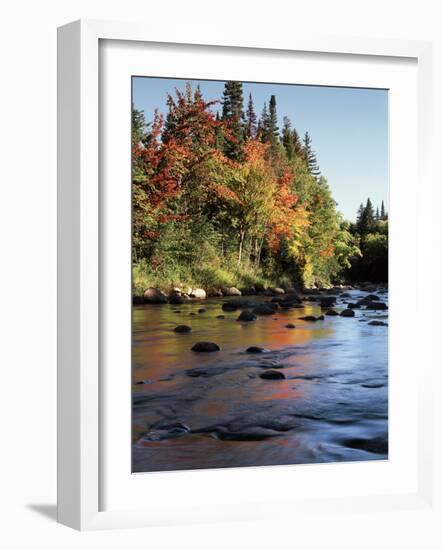 New Hampshire, White Mountains NF, Autumn Colors of Sugar Maple Trees-Christopher Talbot Frank-Framed Photographic Print