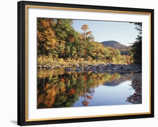 New Hampshire, White Mts Nf, Sugar Maple Reflect in the Swift River-Christopher Talbot Frank-Framed Photographic Print