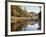 New Hampshire, White Mts Nf, Sugar Maple Reflect in the Swift River-Christopher Talbot Frank-Framed Photographic Print