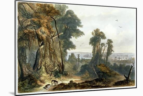 New Harmony on the Wabash, Plate 2 from Volume 2 of "Travels in the Interior of North America"-Karl Bodmer-Mounted Giclee Print