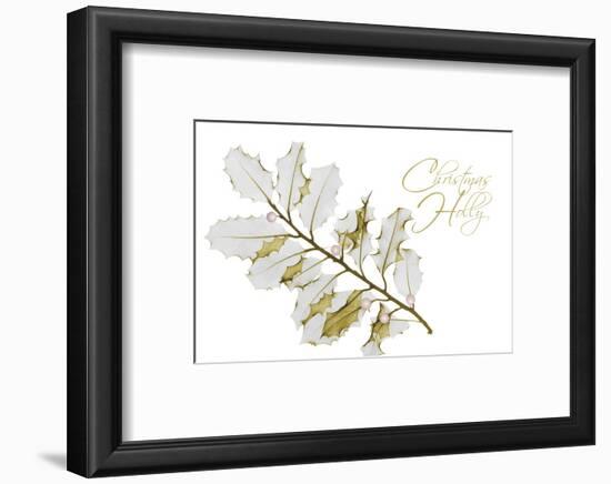 New Holly A L297-Albert Koetsier-Framed Photographic Print