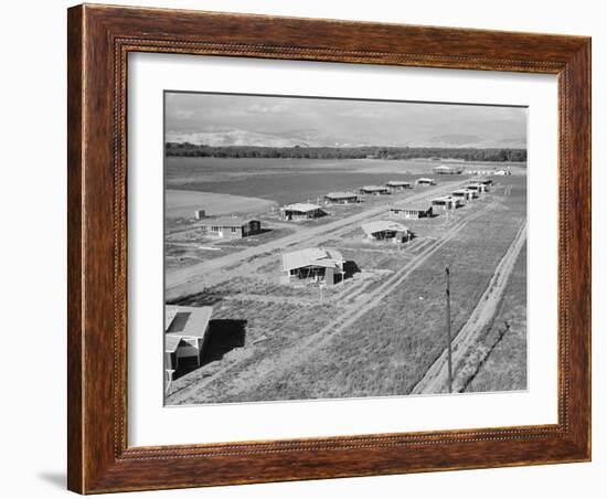 New homes for families at Mineral King Cooperative Farm. Tulare County, California.1939-Dorothea Lange-Framed Photographic Print