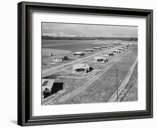 New homes for families at Mineral King Cooperative Farm. Tulare County, California.1939-Dorothea Lange-Framed Photographic Print